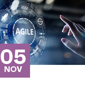 Agile HR Live Webinar © Just Leading Solutions. Include this copyright notice with the copied content. Introduction to Agile for HR